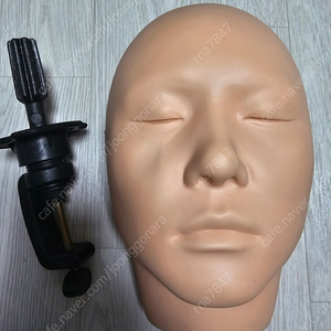 메이크업시험용마네킹