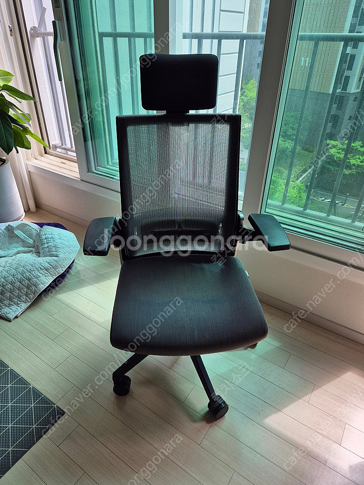 시디즈 T80 메시의자 T800HLDA 판매--0