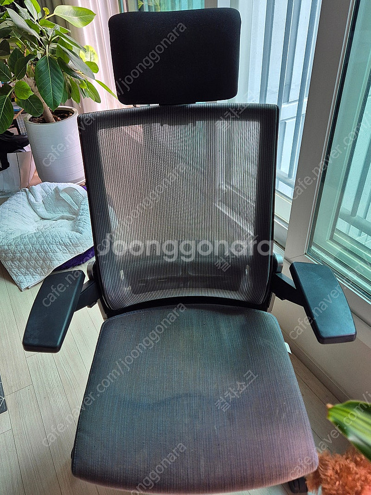시디즈 T80 메시의자 T800HLDA 판매--1