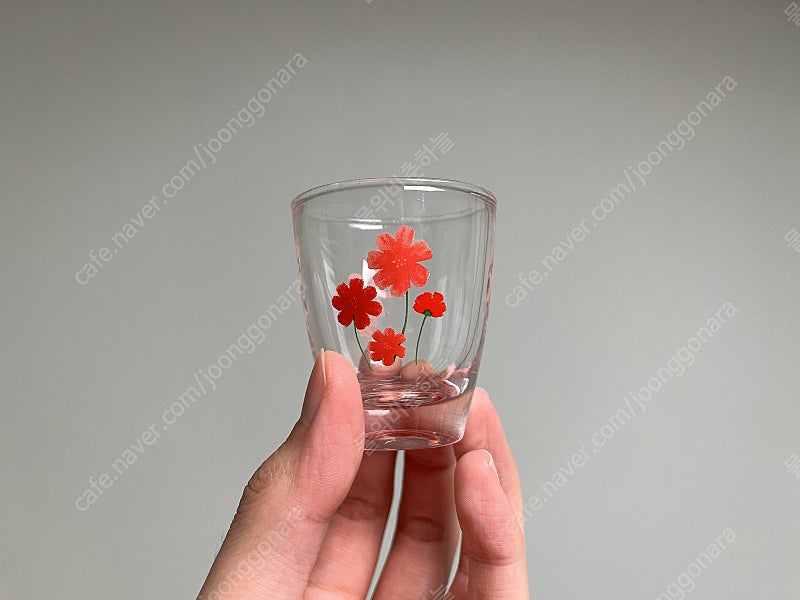 [새상품] 한정판 푸른밤 소주잔 제주 코스모스잔 박스있음 이미지