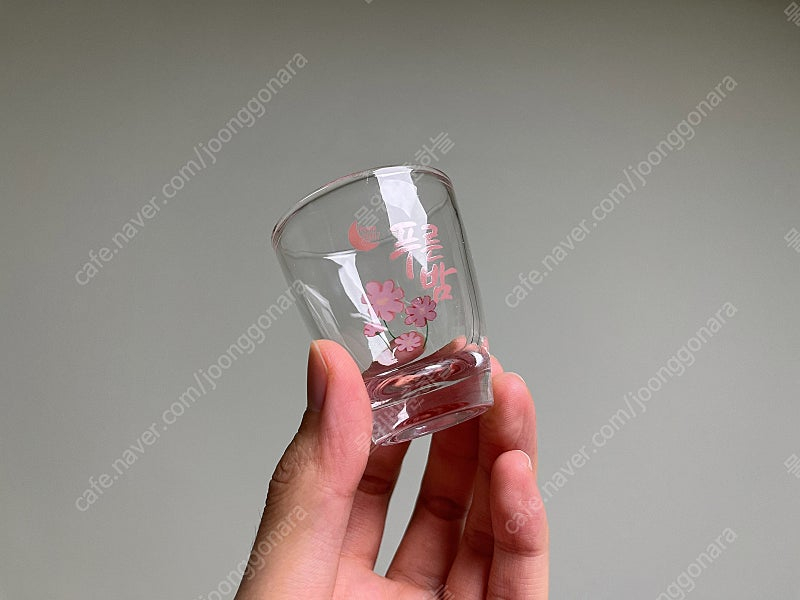 [새상품] 한정판 푸른밤 소주잔 제주 코스모스잔 박스있음 이미지