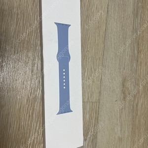 애플워치 정품 스포츠밴드 블루포그 45mm