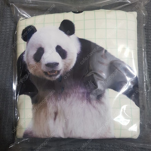 (정가)푸바오 바오패밀리 실사 담요 단추있음