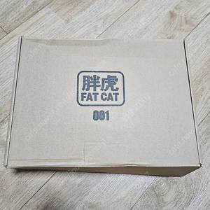 FAT CAT rg 퍼스트 건담 2.0 1:100 새제품