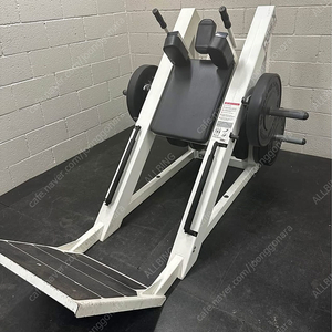 싸이벡스 핵스쿼트 판매합니다.