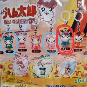 햄토리(범생이) 메지루시 판매 or 리본,모자와 교환가능 다른시리즈교환도가능