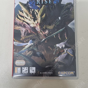 닌텐도스위치 몬스터헌터라이즈