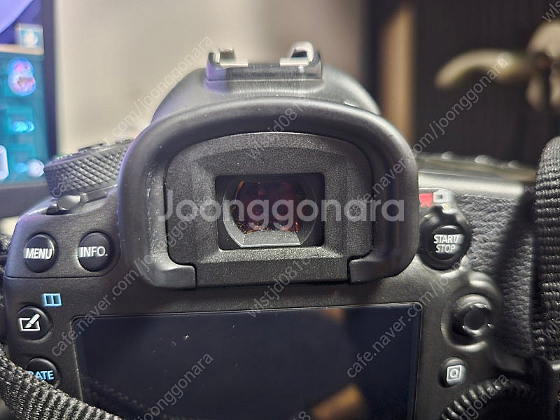 [급처] 캐논 EOS 5Ds, 5Dmark2(쿨거시 5...--1