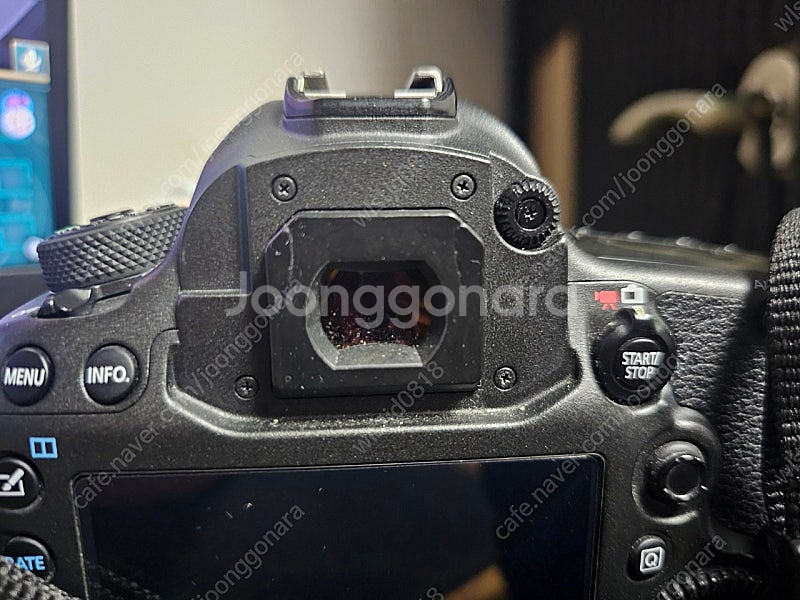 [급처] 캐논 EOS 5Ds, 5Dmark2(쿨거시 5...--2