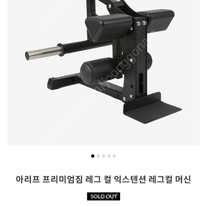 레그옵션 레그컬,익스텐션 직거래 처분