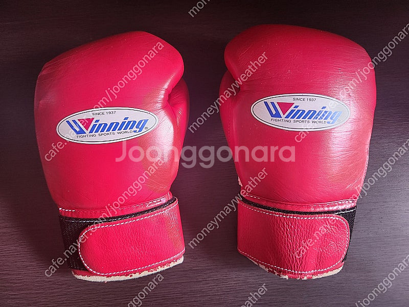 WINNING(위닝) 레드 글러브 8온스--0