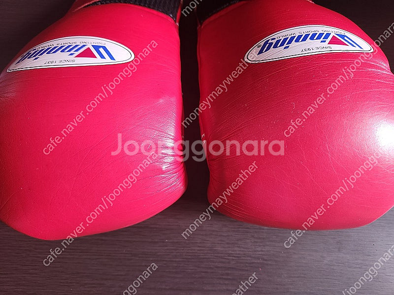 WINNING(위닝) 레드 글러브 8온스--2