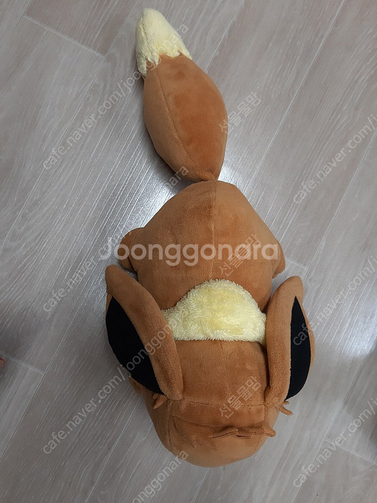 플라워재키완료, 보노보노, 도라에몽, 이브이인형--5