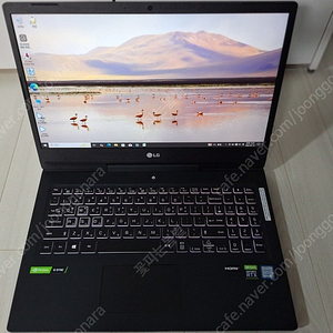 최고사양 LG울트라기어GT, i7(x12)+RTX그래픽, 램32G, 1.5TB(정품 윈10)급매