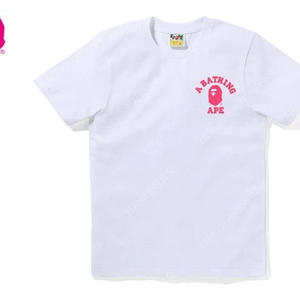 베이프 티셔츠 카모 컬리지 바이 베이싱 재팬 컬리지 도쿄 컬리지 시티 티셔츠 BAPE ABC CAMO BY BATHING