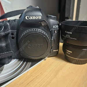 [급처] 캐논 EOS 5D Mark II + 50.8