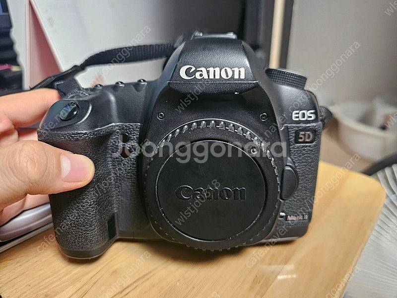 [급처] 캐논 EOS 5D Mark II + 50.8--1