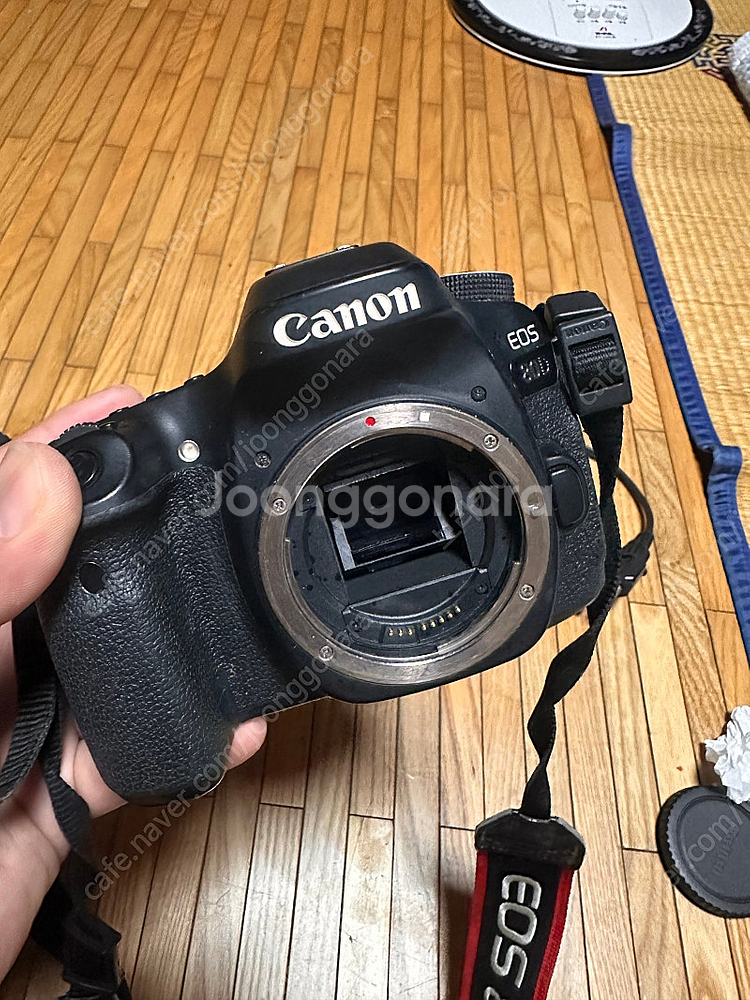 캐논EOS80D+70-300 IS USM 망원 랜즈--7