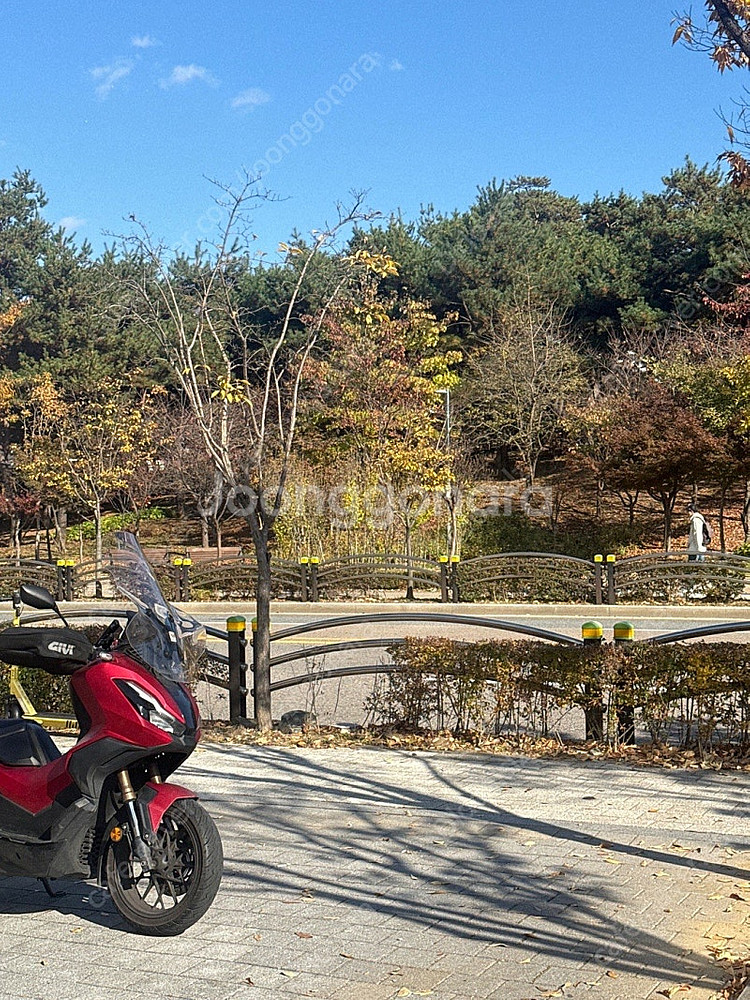 24년식 ADV350 (어드방350) 배달셋팅완료--1
