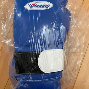 위닝 글러브 14oz 블루 새상품