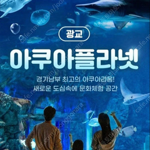 칼답) 광교 아쿠아플라넷 광교 모바일입장권