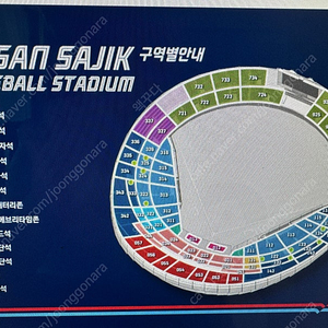 7월 30일 7월 31일 롯데 엔씨 내야필드석 치어리더 명당. 롯데자이언츠 엔씨다이노스 사직야구장