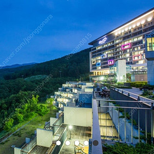 하이원 리조트 성수기 확보 객실 특가 판매