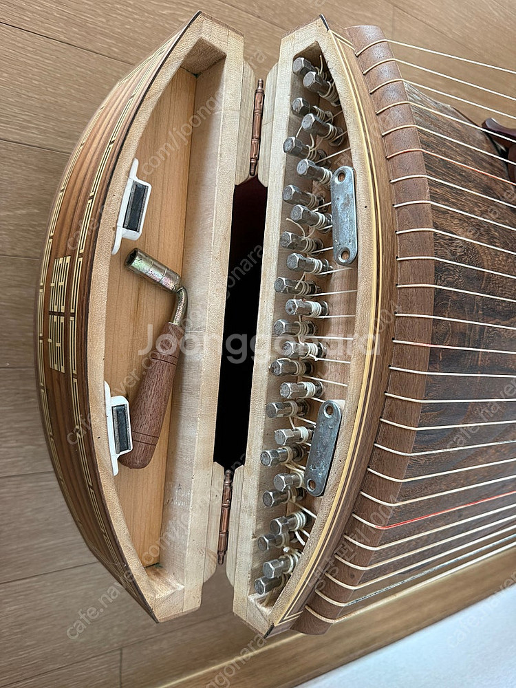 25현 가야금--3
