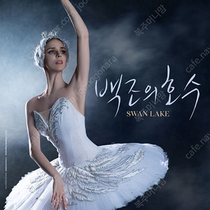 백조의호수 7월26일 토요일 7시 발코니3석