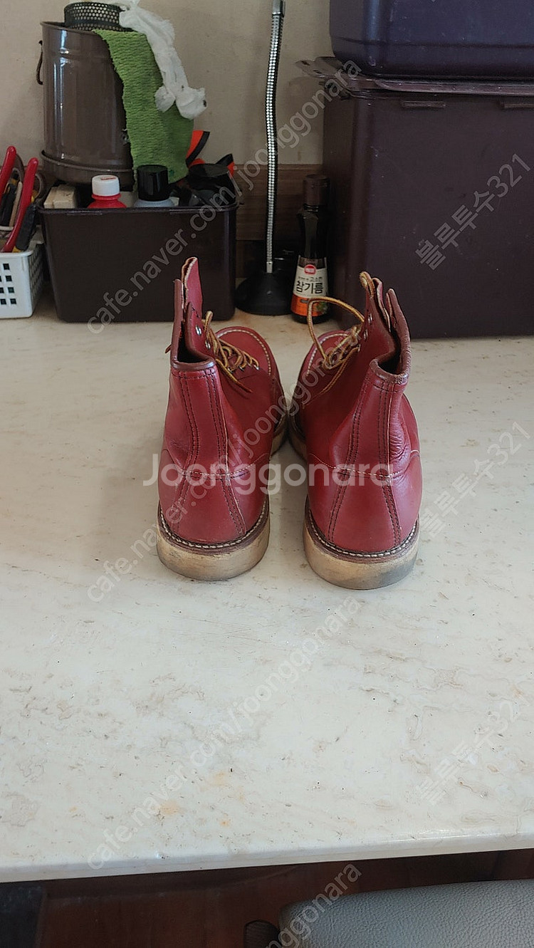 레드윙(RED WING) 반원견 태그 아이리쉬세터 오로...--3