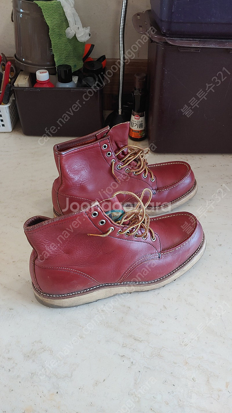 레드윙(RED WING) 반원견 태그 아이리쉬세터 오로...--4