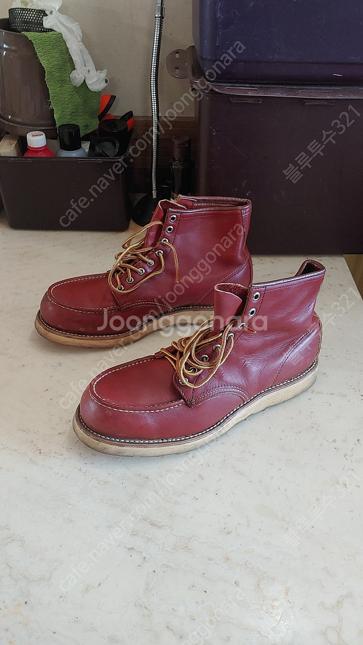 레드윙(RED WING) 반원견 태그 아이리쉬세터 오로...--5