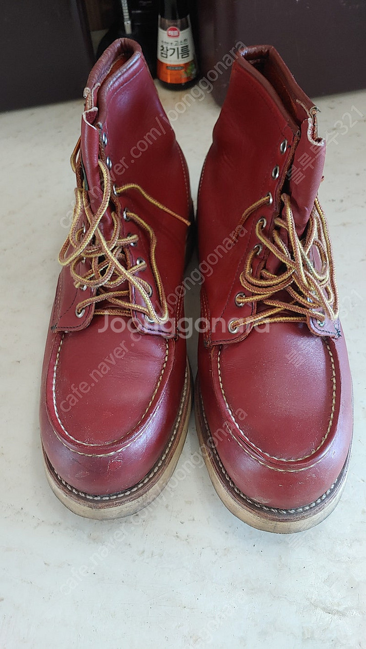 레드윙(RED WING) 반원견 태그 아이리쉬세터 오로...--6