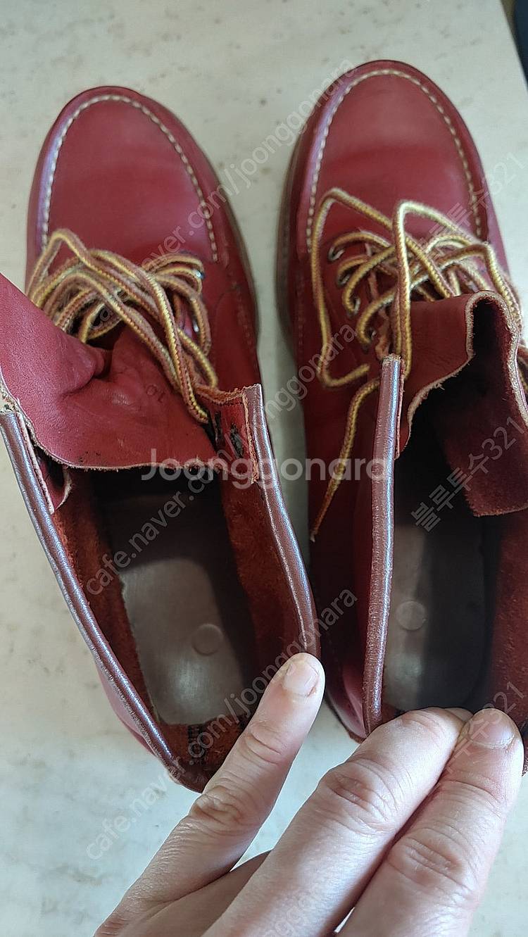 레드윙(RED WING) 반원견 태그 아이리쉬세터 오로...--7