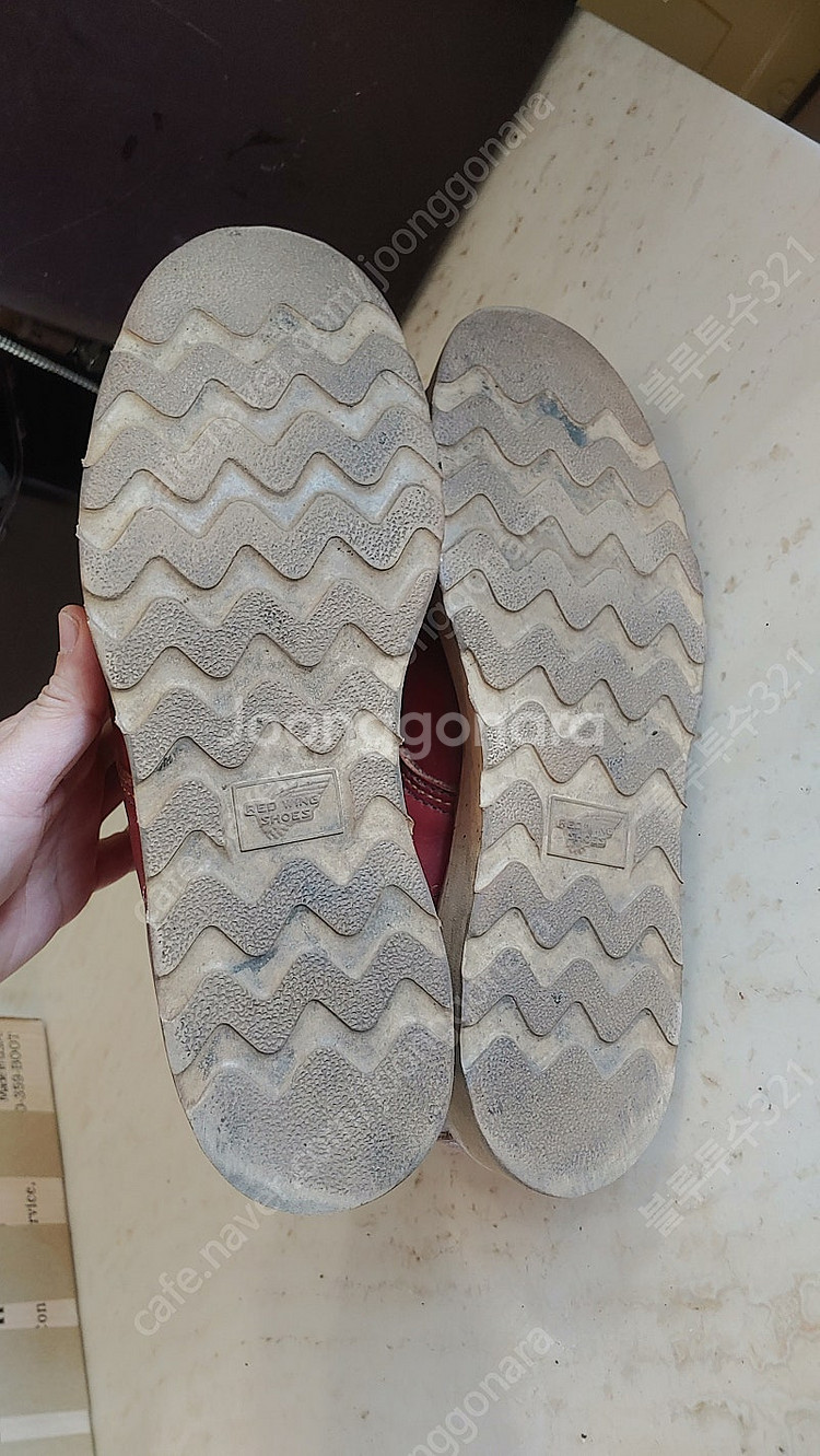 레드윙(RED WING) 반원견 태그 아이리쉬세터 오로...--8