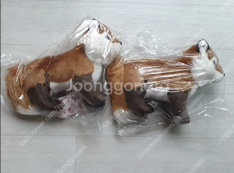 선레몬 썬레몬 히자시리즈 무릎여우 무릎고양이 러시안블루...--4