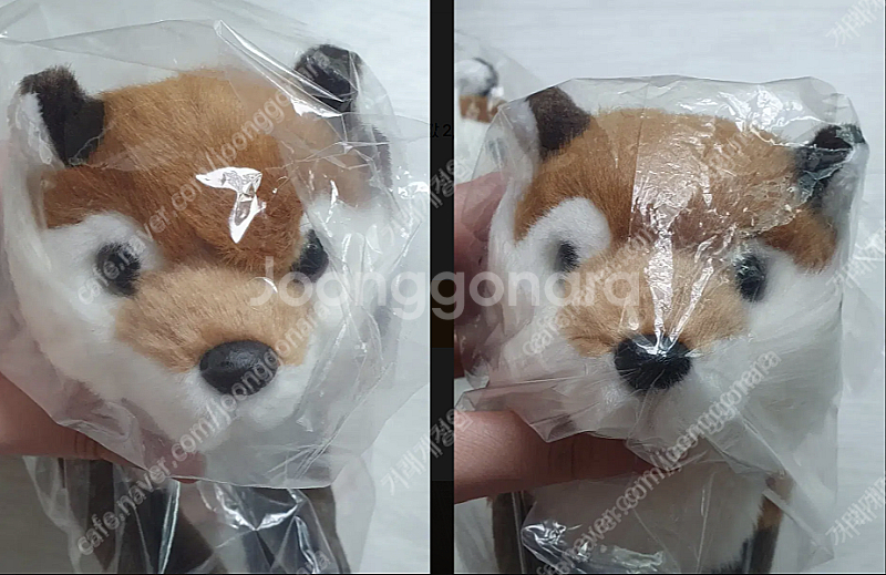 선레몬 썬레몬 히자시리즈 무릎여우 무릎고양이 러시안블루...--5