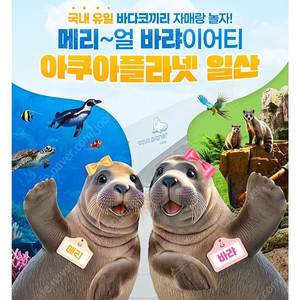 칼답) 일산 아쿠아플라넷 일산 모바일입장권
