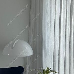 마켓파흐트의 실크커튼 (Sloshing Curtain) 143 X 238 알뜰택포