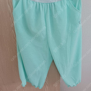 게스145사이즈 페르미츠140사이즈