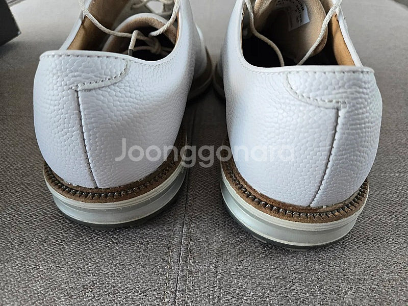 FOOTJOY 풋조이 프리미어 패커드 남성 골프화--1