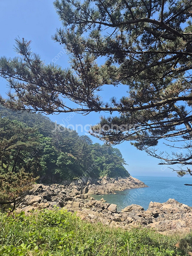 cgv콤보 5000원 할인쿠폰 1매당 1000원--0