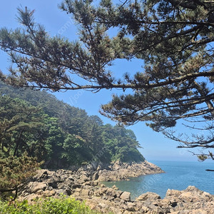 cgv콤보 5000원 할인쿠폰 1매당 1000원