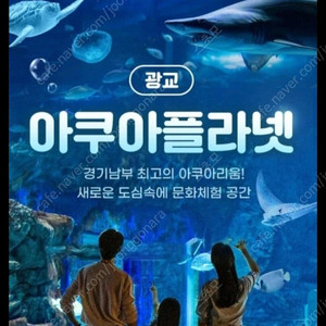칼답) 광교 아쿠아플라넷 광교 모바일입장권