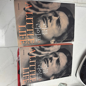 리틀라이프 1,2권 팝니다.