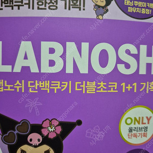 랩노쉬 단백질 초코쿠키