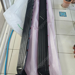 25년/24년 카니발 사이드스텝 팝니다