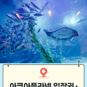 제주 여수 광교 일산 아쿠아플라넷 아쿠아리움 모바일입장권 [빠른답장]