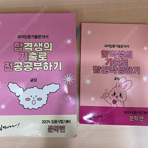 [국어 임용 관련 서적 판매] 11종 해법, 합격생 전공 기출문제집