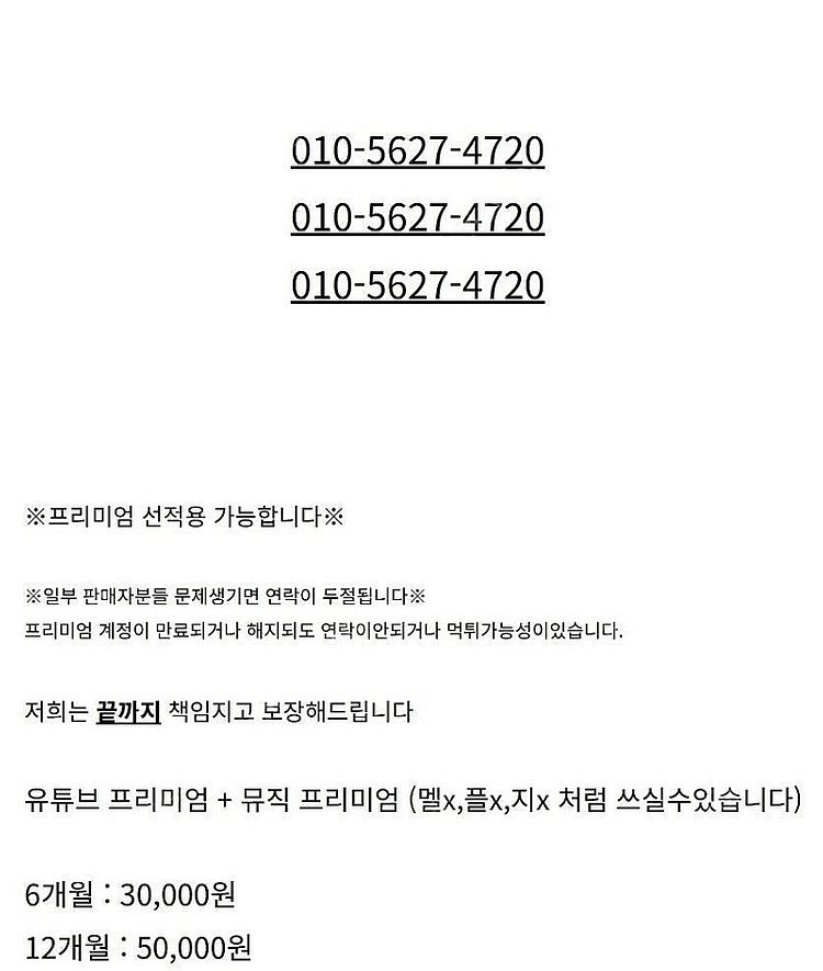 유튜브 프리미엄 + 뮤직포함 6 / 12 개월 파티원 ...--1